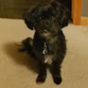 Meet your Posher, Luke